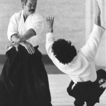 The Art of Recovery by T. K. Chiba