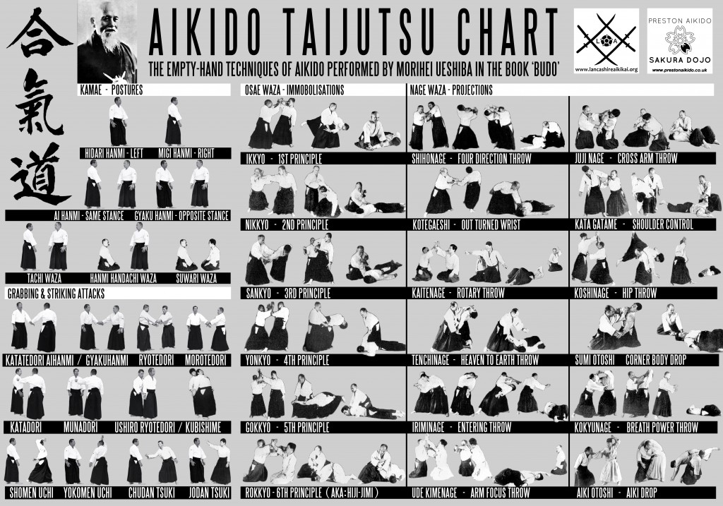 AIKIDO TECHNICAL CHART v 2